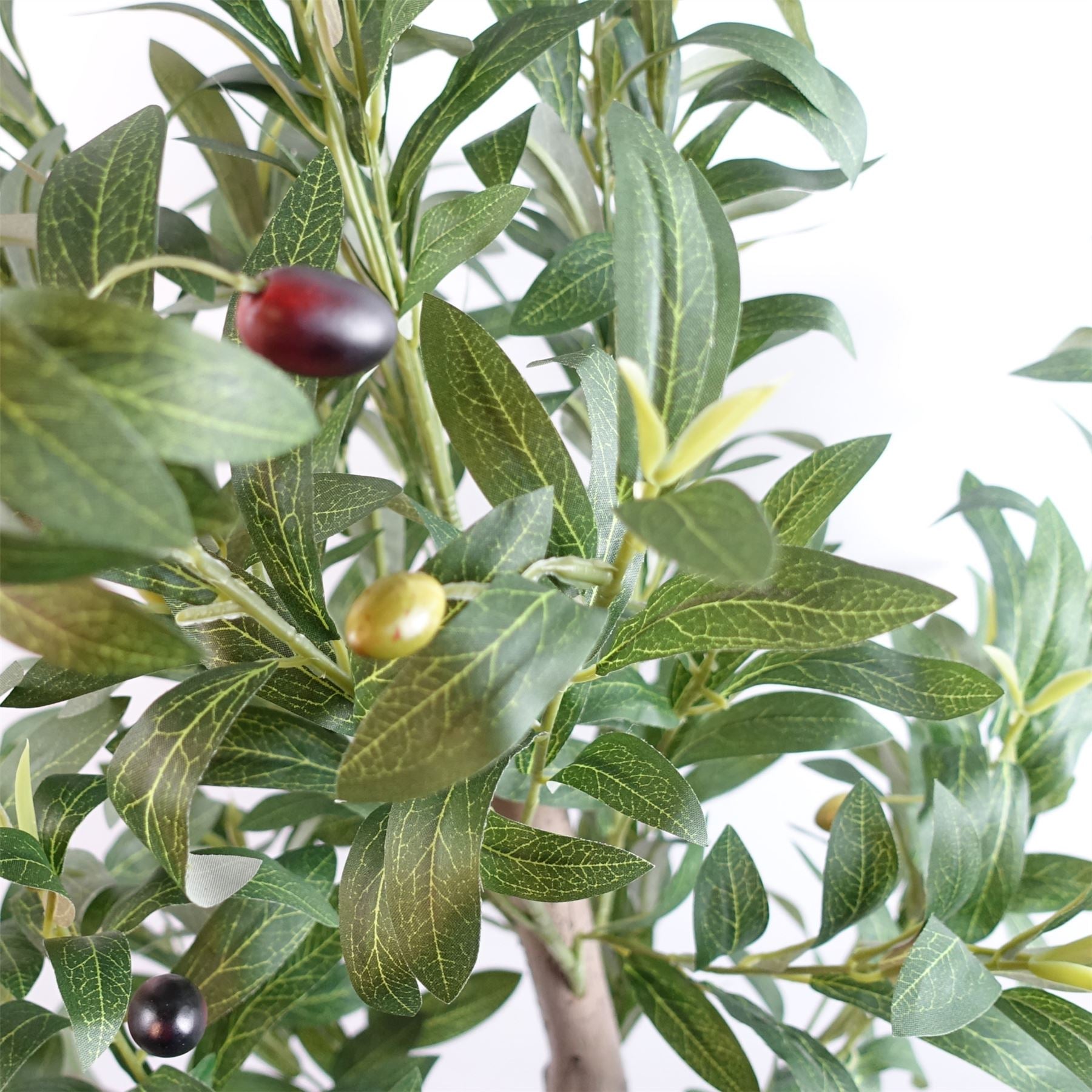 The Portofino Olive 120cm