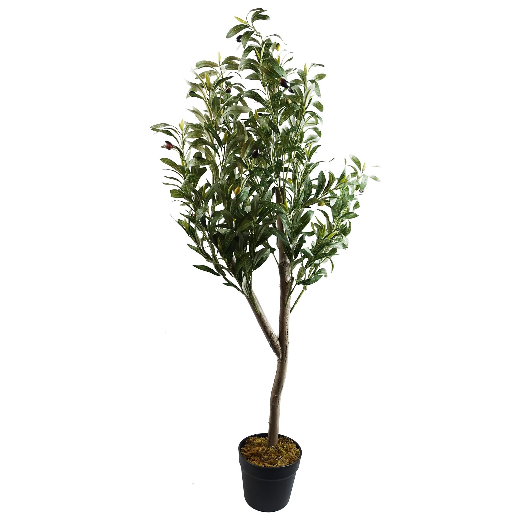 The Portofino Olive 120cm