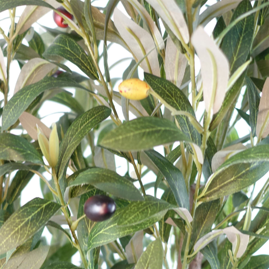 The Portofino Olive 120cm