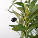 The Portofino Olive 120cm